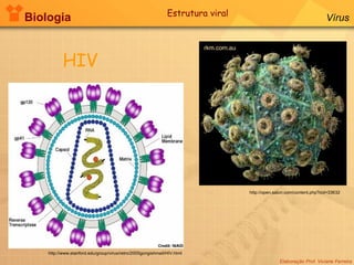 Biologia Elaboração Prof. Viviane Ferreira Vírus HIV Estrutura viral http://www.stanford.edu/group/virus/retro/2005gongishmail/HIV.html http://open.salon.com/content.php?cid=33632 