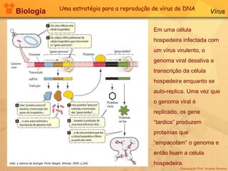 Biologia Elaboração Prof. Viviane Ferreira Vírus Em uma célula hospedeira infectada com um vírus virulento, o genoma viral desativa a transcrição da célula hospedeira enquanto se auto-replica. Uma vez que o genoma viral é replicado, os gene “tardios” produzem proteínas que “empacotam” o genoma e então lisam a célula hospedeira. Uma estratégia para a reprodução de vírus de DNA Vida: a ciência da biologia . Porto Alegre: Artmed, 2005. p.242 