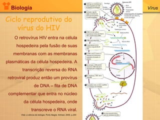 Biologia Vírus O retrovírus HIV entra na célula hospedeira pela fusão de suas membranas com as membranas plasmáticas da célula hospedeira. A transcrição reversa do RNA retroviral produz então um provírus de DNA – fita de DNA complementar que entra no núcleo da célula hospedeira, onde transcreve o RNA viral. Vida: a ciência da biologia . Porto Alegre: Artmed, 2005. p.244 Ciclo reprodutivo do vírus do HIV 