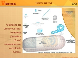 Biologia Elaboração Prof. Viviane Ferreira Vírus O tamanho dos vários vírus (azul) e bactérias (Clamídia e E. coli ) comparados com um eritrócito humano. TORTORA.  Microbiologia.  6ª edição. Porto Alegre: Artmed. p.827, 2000. Tamanho dos vírus 