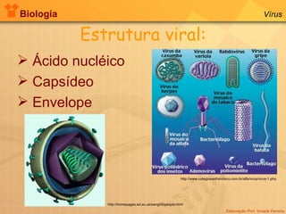 Biologia Elaboração Prof. Viviane Ferreira Vírus Estrutura viral: Ácido nucléico Capsídeo Envelope http://www.colegiosaofrancisco.com.br/alfa/virus/virus-1.php http://homepages.ed.ac.uk/eang09/people.html 