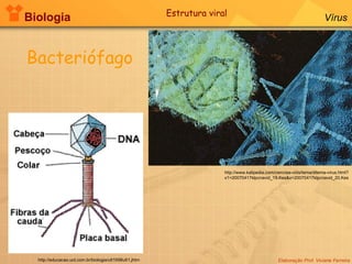 Biologia Elaboração Prof. Viviane Ferreira Vírus http://www.kalipedia.com/ciencias-vida/tema/dilema-virus.html?x1=20070417klpcnavid_19.Kes&x=20070417klpcnavid_20.Kes http://educacao.uol.com.br/biologia/ult1698u61.jhtm Bacteriófago Estrutura viral 