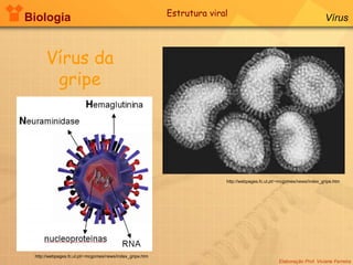 Biologia Elaboração Prof. Viviane Ferreira Vírus Vírus da gripe Estrutura viral http://webpages.fc.ul.pt/~mcgomes/news/index_gripe.htm http://webpages.fc.ul.pt/~mcgomes/news/index_gripe.htm 