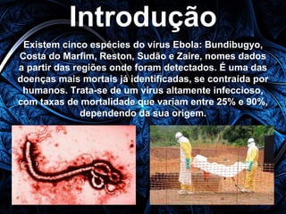 Introdução 
Existem cinco espécies do vírus Ebola: Bundibugyo, 
Costa do Marfim, Reston, Sudão e Zaire, nomes dados 
a partir das regiões onde foram detectados. É uma das 
doenças mais mortais já identificadas, se contraída por 
humanos. Trata-se de um vírus altamente infeccioso, 
com taxas de mortalidade que variam entre 25% e 90%, 
dependendo da sua origem. 
 