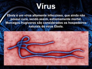 Vírus 
Ebola é um vírus altamente infeccioso, que ainda não 
possui cura, sendo assim, extremamente mortal. 
Morcegos frugívoros são considerados os hospedeiros 
naturais do vírus Ébola. 
 