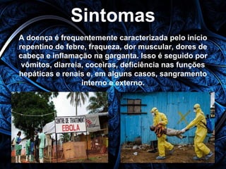Sintomas 
A doença é frequentemente caracterizada pelo início 
repentino de febre, fraqueza, dor muscular, dores de 
cabeça e inflamação na garganta. Isso é seguido por 
vômitos, diarreia, coceiras, deficiência nas funções 
hepáticas e renais e, em alguns casos, sangramento 
interno e externo. 
 