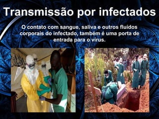 Transmissão por infectados 
O contato com sangue, saliva e outros fluídos 
corporais do infectado, também é uma porta de 
entrada para o vírus. 
 