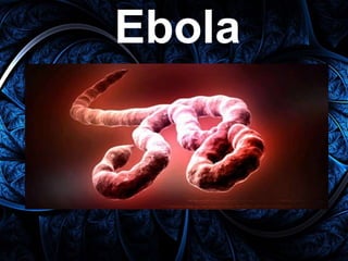 Ebola
 