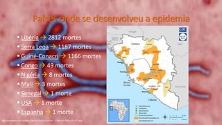 Países onde se desenvolveu a epidemia
 Libéria  2812 mortes
 Serra Leoa  1187 mortes
 Guiné-Conacri  1166 mortes
 Congo  49 mortes
 Nigéria  8 mortes
 Mali  3 mortes
 Senegal  1 morte
 USA  1 morte
 Espanha  1 morte
Agrupamento de Escolas Rainha Dona Leonor - Ciências Naturais 9º ano
 