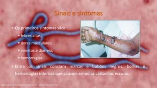 Sinais e sintomas
• Os primeiros sintomas são:
 febres altas;
 dores musculares;
 vómitos e diarreia;
 hemorragias.
• Entre os sinais constam marcas e bubões negros, bolhas e
hemorragias internas que causam empolas castanhas escuras.
Agrupamento de Escolas Rainha Dona Leonor - Ciências Naturais 9º ano
 
