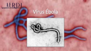 Vírus Ébola
 