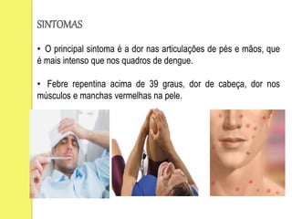 SINTOMAS
• O principal sintoma é a dor nas articulações de pés e mãos, que
é mais intenso que nos quadros de dengue.
• Febre repentina acima de 39 graus, dor de cabeça, dor nos
músculos e manchas vermelhas na pele.
 