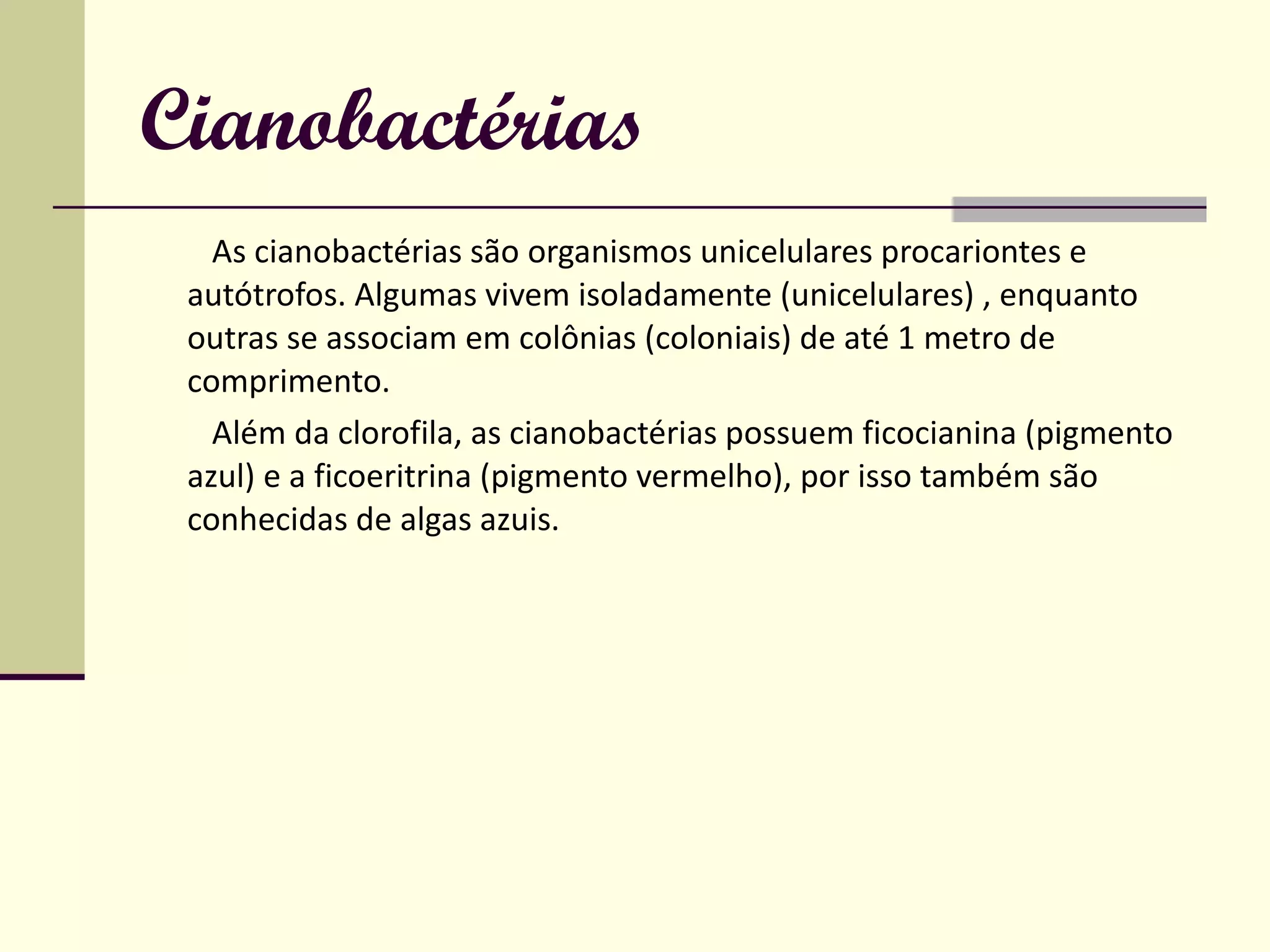 Vírus e reino monera | PPT