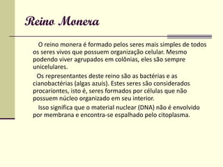 Reino Monera O reino monera é formado pelos seres mais simples de todos os seres vivos que possuem organização celular. Mesmo podendo viver agrupados em colônias, eles são sempre unicelulares. Os representantes deste reino são as bactérias e as cianobactérias (algas azuis). Estes seres são considerados procariontes, isto é, seres formados por células que não possuem núcleo organizado em seu interior. Isso significa que o material nuclear (DNA) não é envolvido por membrana e encontra-se espalhado pelo citoplasma. 