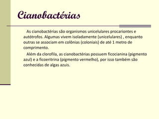 Cianobactérias As cianobactérias são organismos unicelulares procariontes e autótrofos. Algumas vivem isoladamente (unicelulares) , enquanto outras se associam em colônias (coloniais) de até 1 metro de comprimento.  Além da clorofila, as cianobactérias possuem ficocianina (pigmento azul) e a ficoeritrina (pigmento vermelho), por isso também são conhecidas de algas azuis. 