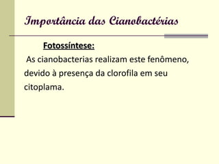 Importância das Cianobactérias Fotossíntese: As cianobacterias realizam este fenômeno, devido à presença da clorofila em seu citoplama. 