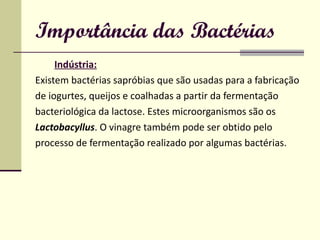 Importância das Bactérias Indústria:   Existem bactérias sapróbias que são usadas para a fabricação  de iogurtes, queijos e coalhadas a partir da fermentação  bacteriológica da lactose. Estes microorganismos são os Lactobacyllus . O vinagre também pode ser obtido pelo  processo de fermentação realizado por algumas bactérias. 