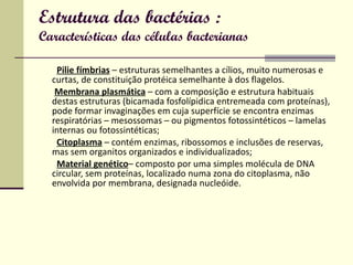 Estrutura das bactérias : Características das células bacterianas Pilie fímbrias  – estruturas semelhantes a cílios, muito numerosas e curtas, de constituição protéica semelhante à dos flagelos.  Membrana plasmática  – com a composição e estrutura habituais destas estruturas (bicamada fosfolípidica entremeada com proteínas), pode formar invaginações em cuja superfície se encontra enzimas respiratórias – mesossomas – ou pigmentos fotossintéticos – lamelas internas ou fotossintéticas;  Citoplasma  – contém enzimas, ribossomos e inclusões de reservas, mas sem organitos organizados e individualizados;  Material genético – composto por uma simples molécula de DNA circular, sem proteínas, localizado numa zona do citoplasma, não envolvida por membrana, designada nucleóide.   