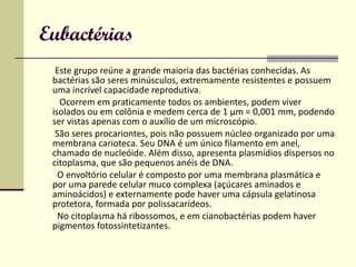 Eubactérias Este grupo reúne a grande maioria das bactérias conhecidas. As bactérias são seres minúsculos, extremamente resistentes e possuem uma incrível capacidade reprodutiva. Ocorrem em praticamente todos os ambientes, podem viver isolados ou em colônia e medem cerca de 1 µm = 0,001 mm, podendo ser vistas apenas com o auxílio de um microscópio. São seres procariontes, pois não possuem núcleo organizado por uma membrana carioteca. Seu DNA é um único filamento em anel, chamado de nucleóide. Além disso, apresenta plasmídios dispersos no citoplasma, que são pequenos anéis de DNA. O envoltório celular é composto por uma membrana plasmática e por uma parede celular muco complexa (açúcares aminados e aminoácidos) e externamente pode haver uma cápsula gelatinosa protetora, formada por polissacarídeos. No citoplasma há ribossomos, e em cianobactérias podem haver pigmentos fotossintetizantes. 