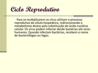 Ciclo Reprodutivo Para se multiplicarem os vírus utilizam o processo reprodutivo da célula hospedeira, redirecionando o metabolismo destas pela substituição do ácido nucléico celular. Os vírus podem infectar desde bactérias até seres humanos. Quando infectam bactérias, recebem o nome de bacteriófagos ou fagos. 