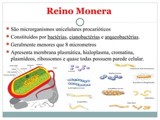 Reino Monera
 São microrganismos unicelulares procarióticos
 Constituídos por bactérias, cianobactérias e arqueobactérias.
 Geralmente menores que 8 micrometros
 Apresenta membrana plasmática, hialoplasma, cromatina,
  plasmídeos, ribossomos e quase todas possuem parede celular.
 