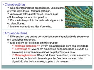 • Cianobactérias
    São microrganismos procariontes, unicelulares
   e vivem isoladas ou formam colônias.
    Autótrofas fotossintetizantes, porém suas
   células não possuem cloroplastos.
    Por muito tempo foi chamadas de algas azuis
   ou cianofíceas.
    Muito encontrado no Mar Vermelho.

• Arqueobactérias
    Diferenciam das outras por apresentarem capacidade de sobreviver
   em condições extremas.
    Elas podem ser divididas em três grupos:
       Halófilas extremas => Vivem em ambientes com alta salinidade
       Termófilas => Vivem em ambientes de temperatura elevada ou
      em meios extremamente ácidos de pH próximo a zero.
       Metanogênicas => São produtoras de metano, vivem em aterros
      sanitários, fontes hidrotermais, plantações de arroz e no tubo
      digestório dos bois, cavalos, cupins e do homem.
 