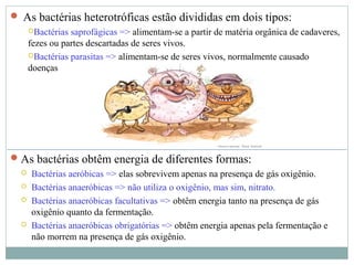  As bactérias heterotróficas estão divididas em dois tipos:
      Bactérias saprofágicas => alimentam-se a partir de matéria orgânica de cadaveres,
      fezes ou partes descartadas de seres vivos.
      Bactérias parasitas => alimentam-se de seres vivos, normalmente causado
      doenças




 As bactérias obtêm energia de diferentes formas:
     Bactérias aeróbicas => elas sobrevivem apenas na presença de gás oxigênio.
     Bactérias anaeróbicas => não utiliza o oxigênio, mas sim, nitrato.
     Bactérias anaeróbicas facultativas => obtêm energia tanto na presença de gás
      oxigênio quanto da fermentação.
     Bactérias anaeróbicas obrigatórias => obtêm energia apenas pela fermentação e
      não morrem na presença de gás oxigênio.
 