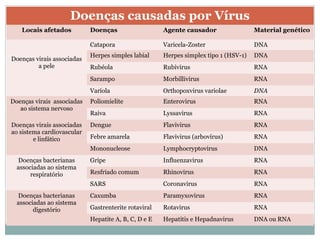 Doenças causadas por Vírus
   Locais afetados          Doenças                   Agente causador                 Material genético

                            Catapora                  Varicela-Zoster                 DNA
                            Herpes simples labial     Herpes simplex tipo 1 (HSV-1)   DNA
Doenças virais associadas
         a pele             Rubéola                   Rubivirus                       RNA
                            Sarampo                   Morbillivirus                   RNA
                            Varíola                   Orthopoxvirus variolae          DNA
Doenças virais associadas   Poliomielite              Enterovirus                     RNA
   ao sistema nervoso
                            Raiva                     Lyssavirus                      RNA
Doenças virais associadas   Dengue                    Flavivirus                      RNA
ao sistema cardiovascular
        e linfático         Febre amarela             Flavivirus (arbovírus)          RNA
                            Mononucleose              Lymphocryptovirus               DNA
  Doenças bacterianas       Gripe                     Influenzavirus                  RNA
  associadas ao sistema
       respiratório         Resfriado comum           Rhinovirus                      RNA
                            SARS                      Coronavirus                     RNA
  Doenças bacterianas       Caxumba                   Paramyxovirus                   RNA
  associadas ao sistema
        digestório          Gastrenterite rotaviral   Rotavirus                       RNA
                            Hepatite A, B, C, D e E   Hepatitis e Hepadnavirus        DNA ou RNA
 