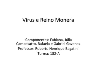 Vírus e Reino Monera Componentes: Fabiana, Júlia Campesatto, Rafaela e Gabriel Gavenas  Professor: Roberto Henrique Bagatini  Turma: 182-A 