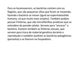 Para se locomoverem, as bactérias contam com os flagelos, que são pequenos sílios que ficam se mexendo, fazendo a bactéria se mover (igual ao espermatozóide humano, só que muito mais simples). Também podem possuir Fímbrias, que são microfibrilhas protéicas que se estendem da parede celular. Servem para “ancorar” a bactéria. Existem também as fímbrias sexuais, que servem para troca de material genético durante a reprodução e também auxiliam as bactérias patogênicas (parasitas) a se fixarem no hospedeiro. 