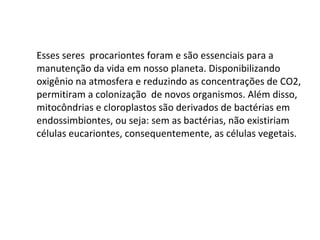 Esses seres  procariontes foram e são essenciais para a manutenção da vida em nosso planeta. Disponibilizando oxigênio na atmosfera e reduzindo as concentrações de CO2, permitiram a colonização  de novos organismos. Além disso, mitocôndrias e cloroplastos são derivados de bactérias em endossimbiontes, ou seja: sem as bactérias, não existiriam células eucariontes, consequentemente, as células vegetais. 