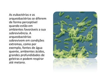 As eubactérias e as arqueobactérias se diferem de forma perceptível quando estão em ambientes favoráveis a sua sobrevivência. A arqueobactérias sobrevivem em condições extremas, como por exemplo, fontes de água quente, ambientes ácidos, grandes profundidades de geleiras e podem respirar até metano. 