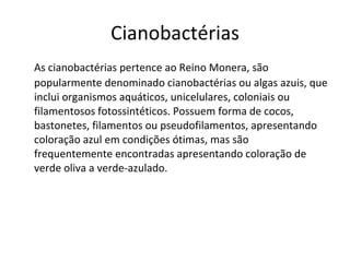 Cianobactérias As cianobactérias pertence ao Reino Monera, são popularmente denominado cianobactérias ou algas azuis, que inclui organismos aquáticos, unicelulares, coloniais ou filamentosos fotossintéticos. Possuem forma de cocos, bastonetes, filamentos ou pseudofilamentos, apresentando coloração azul em condições ótimas, mas são frequentemente encontradas apresentando coloração de verde oliva a verde-azulado. 