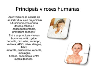 Principais viroses humanas Ao invadirem as células de um indivíduo, eles prejudicam o funcionamento normal dessas células e consequentemente, provocam doenças.  Entre as principais viroses humanas estão: gripe, hepatite, caxumba, sarampo, varicela, AIDS, raiva, dengue, febre amarela, poliomielite, rubéola, meningite, herpes, pneumonia, entre outras doenças.  