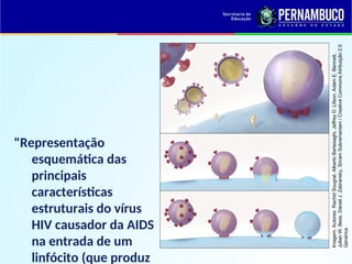 "Representação
esquemática das
principais
características
estruturais do vírus
HIV causador da AIDS
na entrada de um
linfócito (que produz
Imagem:
Autores:
Rachid
Sougrat,
Alberto
Bartesaghi,
Jeffrey
D.
Lifson,
Adam
E.
Bennett,
Julian
W.
Bess,
Daniel
J.
Zabransky,
Sriram
Subramaniam
/
Creative
Commons
Atribuição
2.5
Genérica
 