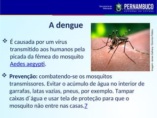 A dengue
 Prevenção: combatendo-se os mosquitos
transmissores. Evitar o acúmulo de água no interior de
garrafas, latas vazias, pneus, por exemplo. Tampar
caixas d´água e usar tela de proteção para que o
mosquito não entre nas casas.7
 É causada por um vírus
transmitido aos humanos pela
picada da fêmea do mosquito
Aedes aegypti.
Imagem:
James
Gathany
/
Domínio
Público
 
