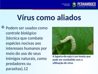 Vírus como aliados
 Podem ser usados como
controle biológico
(técnica que combate
espécies nocivas aos
interesses humanos por
meio do uso de seus
inimigos naturais, como
predadores ou
parasitas).12
A lagarta-da-soja é um inseto que
pode ser combatido com a
utilização de vírus.
 