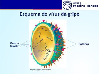 Esquema de vírus da gripe
Material
Genético
Proteínas
Imagem: Jkpjkp / Domínio Público
 