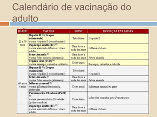 Calendário de vacinação do 
adulto 
