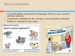 Raiva ou hidrofobia 
 Causa dificuldades respiratórias e de deglutição. Pode provocar a morte do 
indivíduo infectado. 
 Transmissão: mordedura de cães, morcegos e outros mamíferos infectados. 
 Profilaxia: vacinação de cães e gatos. 
 