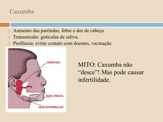 Caxumba 
 Aumento das parótidas, febre e dor de cabeça. 
 Transmissão: gotículas de saliva. 
 Profilaxia: evitar contato com doentes, vacinação. 
MITO: Caxumba não 
“desce”! Mas pode causar 
infertilidade. 
 