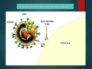 Adsorção do vírus da AIDS
 