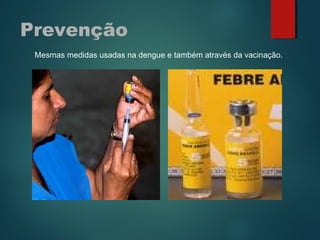 Prevenção
Mesmas medidas usadas na dengue e também através da vacinação.
 