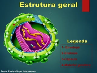 1- Envelope
2-Enzimas
3-Cápsula
4-Material genético
Fonte: Revista Super Interessante
 