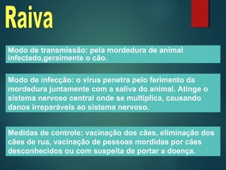 Modo de transmissão: pela mordedura de animal
infectado,geralmente o cão.
Modo de infecção: o vírus penetra pelo ferimento da
mordedura juntamente com a saliva do animal. Atinge o
sistema nervoso central onde se multiplica, causando
danos irreparáveis ao sistema nervoso.
Medidas de controle: vacinação dos cães, eliminação dos
cães de rua, vacinação de pessoas mordidas por cães
desconhecidos ou com suspeita de portar a doença.
 