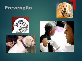 Prevenção
 