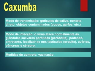 Modo de transmissão: gotículas de saliva, contato
direto, objetos contaminados (copos, garfos, etc.)
Modo de infecção: o vírus ataca normalmente as
glândulas salivares parótidas (parotidite), podendo,
entretanto, localizar-se nos testículos (orquite), ovários,
pâncreas e cérebro.
Medidas de controle: vacinação.
 