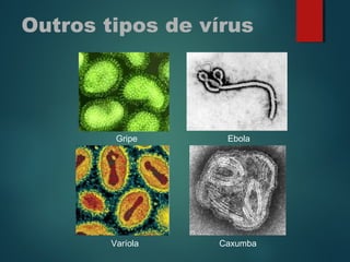 Outros tipos de vírus
Gripe Ebola
Varíola Caxumba
 