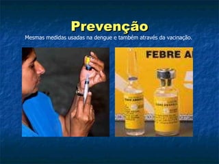 Prevenção Mesmas medidas usadas na dengue e também através da vacinação. 