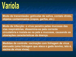Modo de transmissão: gotículas de saliva, contato direto, objetos contaminados (copos, garfos, etc.) Modo de infecção: o vírus penetra pelas mucosas das vias respiratórias, dissemina-se pela corrente circulatória e instala-se na pele e mucosas, causando as ulcerações características da doença. Medidas de controle: vacinação com linhagem de vírus atenuado (uma linhagem que ataca o gado bovino, isto é, vacina de vírus vivos). Varíola 